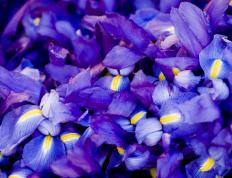 开云体育-极速绞杀，阿劳霍生涯之夜彻底击穿法拉利防线