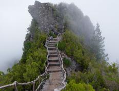 开云体育中国-撒哈拉的征服，伊布最后的呼啸打穿突尼斯防线的足球史诗
