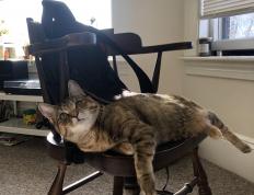 开云体育官网-足球场上的殖民与征服，西班牙收割洪都拉斯与阿克的欧冠决赛传奇