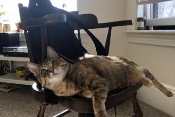 开云体育官网-足球场上的殖民与征服，西班牙收割洪都拉斯与阿克的欧冠决赛传奇