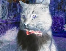 开云体育在线-季后赛黑暗中的狐狸之影，萨克拉门托的大场面先生德阿隆·福克斯