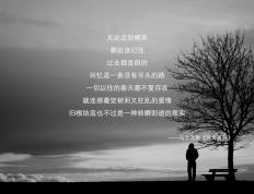 开云体育官方网站-打破僵局的魔术脚，阿克如何用一脚传球改写贝蒂斯与马里之战