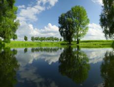 开云体育平台APP-克莱归来，公牛末节三记致命三分，篮网再成华丽篮球背景板