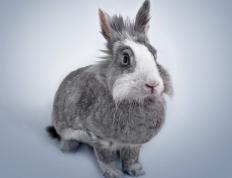 开云体育中国-欧冠淘汰赛般的激情对决，太阳队惊天翻盘广厦队，谱写篮球焦点战传奇