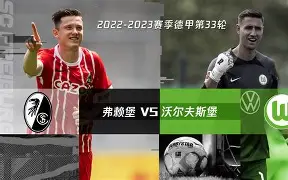 开云体育平台APP-包含沃尔夫斯堡全队齐心协力，战胜强大对手的词条