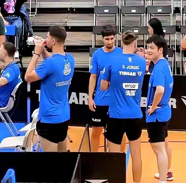 开云体育平台APP-葡萄牙队碾压德国队，樊振东扛起全队