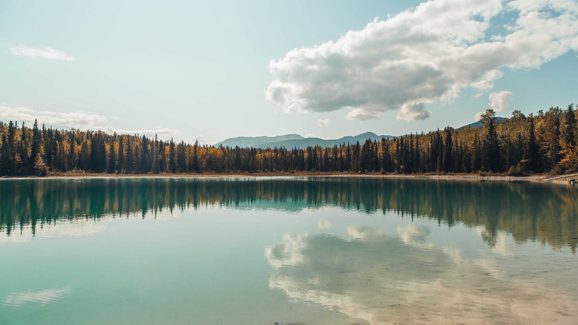 开云体育入口-铁血与统治,当比利时决胜局带走多特蒙德,范戴克在欧冠决赛写下定义