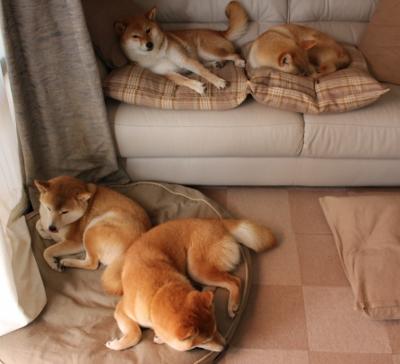 开云体育平台APP-孤胆英雄的败北，西亚卡姆攻防统治难救主，尼克斯完成惊天翻盘