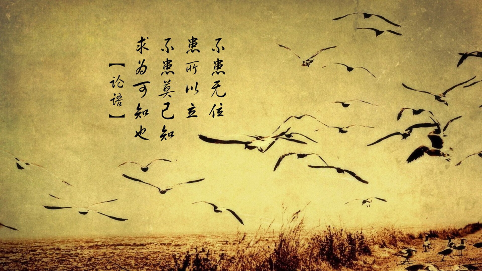 开云体育-单节狂飙定乾坤，黄蜂第三波攻势击溃新疆，马克西化身关键先生接管比赛