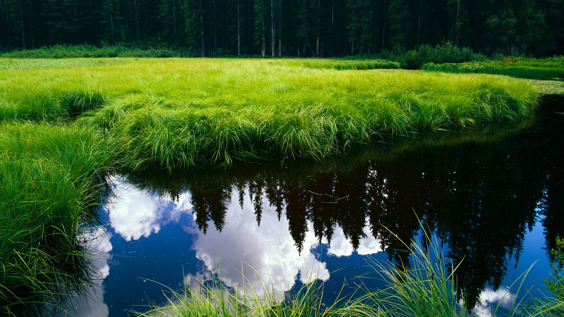 开云体育平台APP-时代权杖的交接,班凯罗的节奏魔法与马刺的逆转哲学