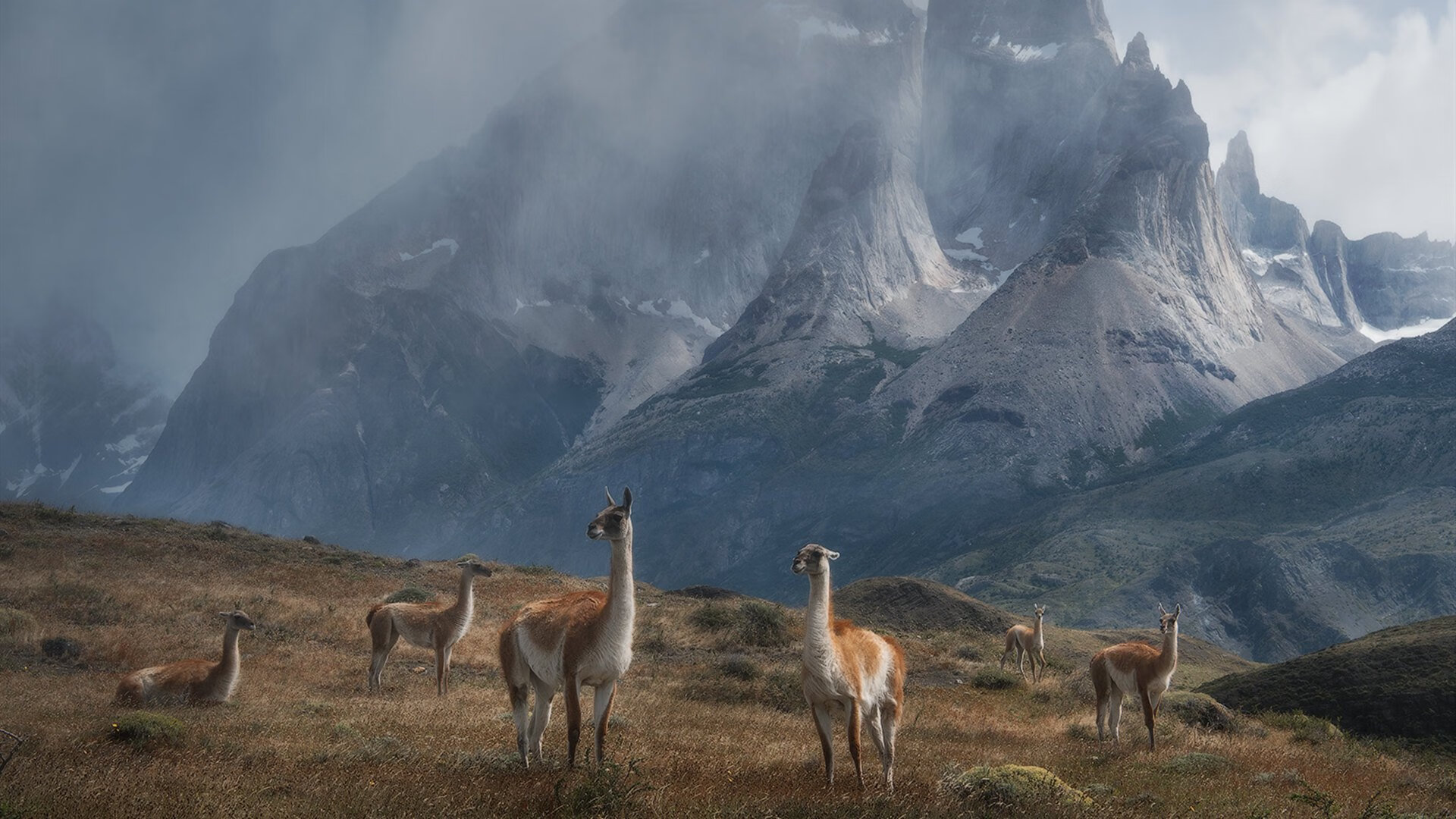 开云体育中国-罗德里戈致命一击，阿根廷力克冰岛挺进十六强