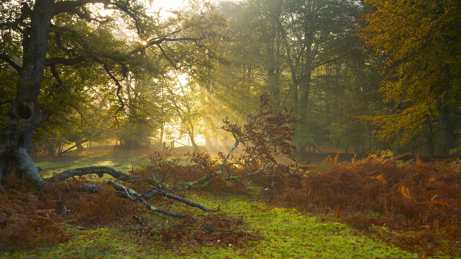 开云下载-萨拉赫领军利物浦告捷,巴黎提前终结悬念震撼西班牙足坛