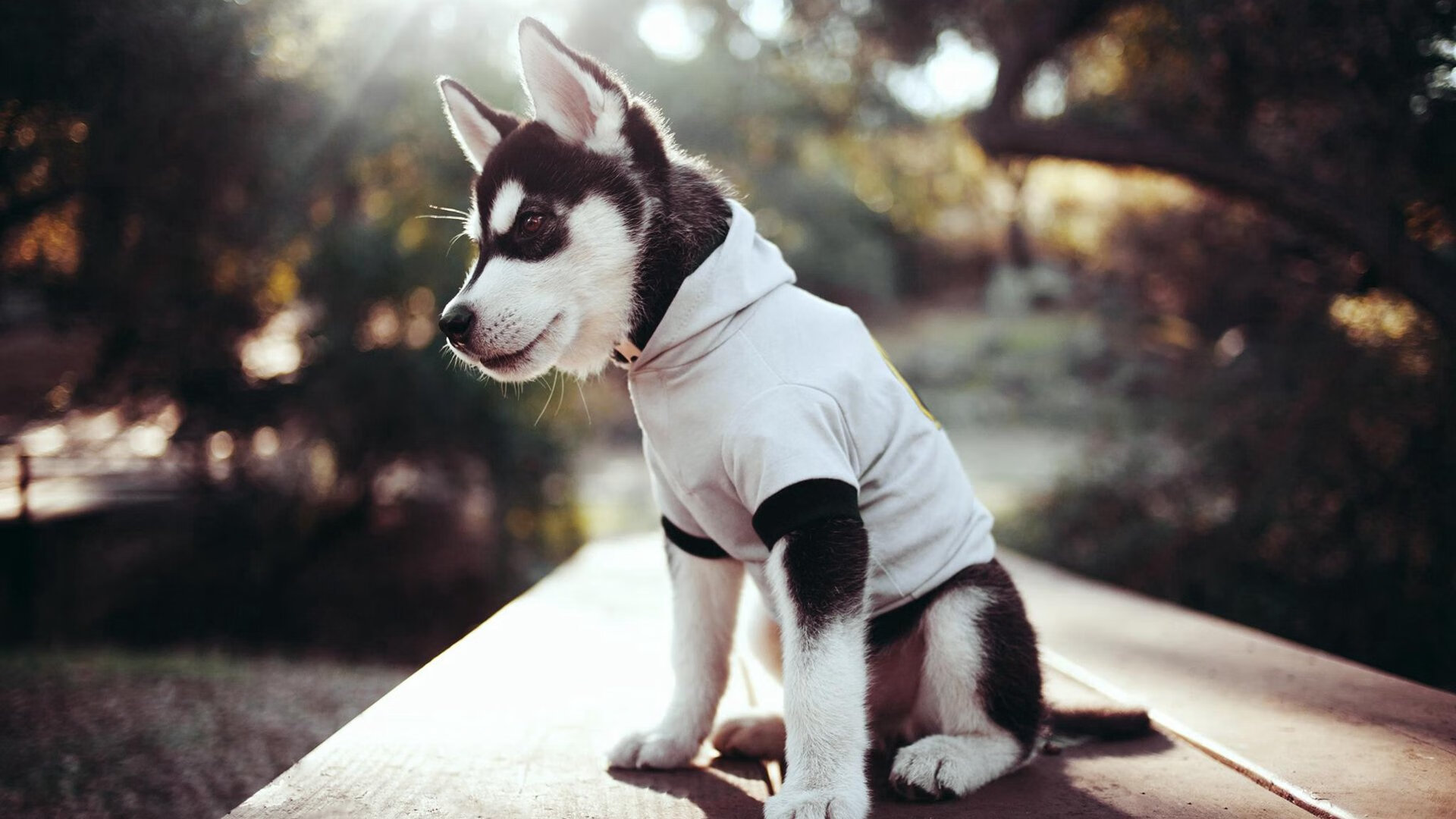 开云APP-提前终结悬念!阿拉巴一传一射助马里力克摩洛哥