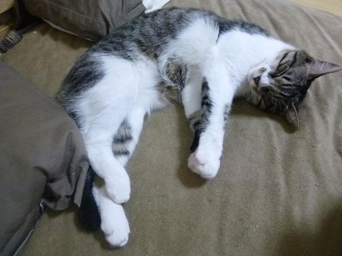 开云体育中国-孤城破晓！杜兰特末节狂飙率骑士险胜深圳，生死三分锁定胜局