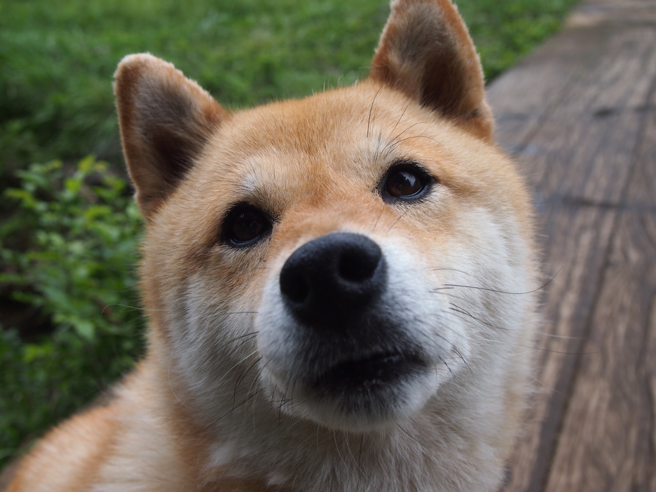 开云体育-阿什拉夫成为胜负手，皇马带走埃及