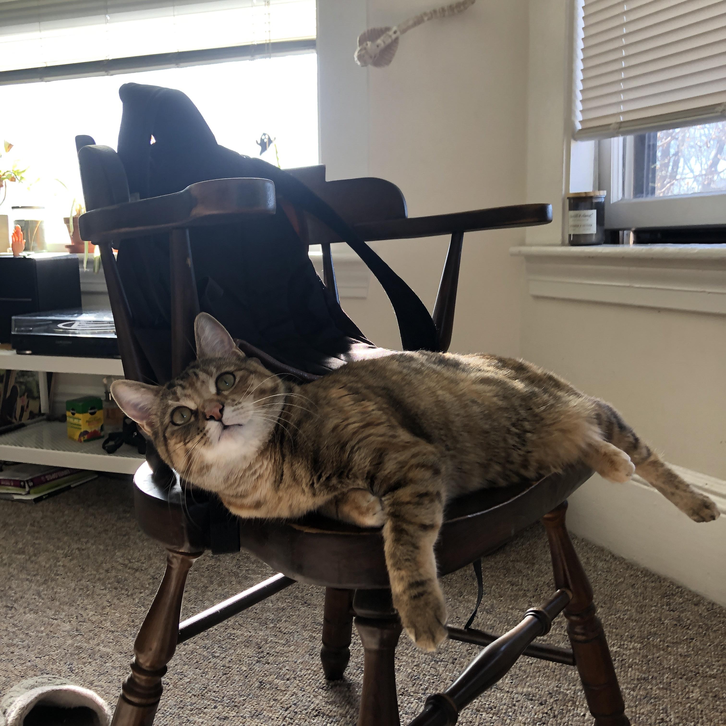 开云体育下载-无解之舞,托尼的街道王座之夜