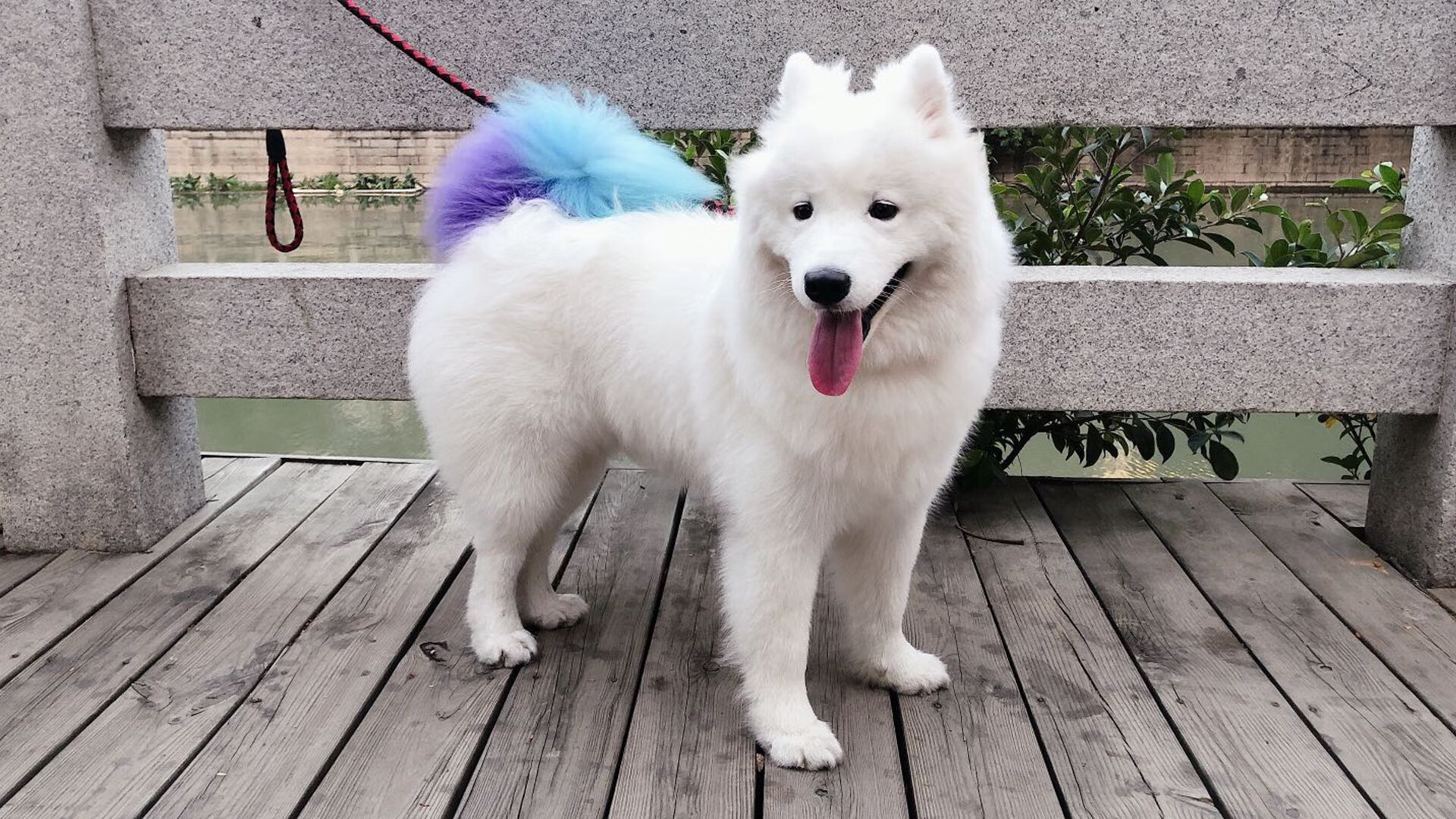 开云体育下载-无解之舞,托尼的街道王座之夜